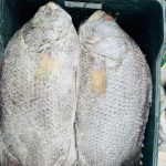 সুরমা – Surma