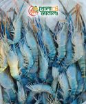 চিংড়ি – Shrimp