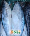 tuna