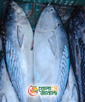 টুনা - Tuna
